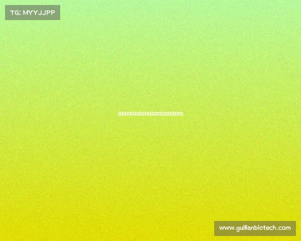 陕西赫兹赛事激情开跑科技速度盛宴古城西安绽放竞技风采