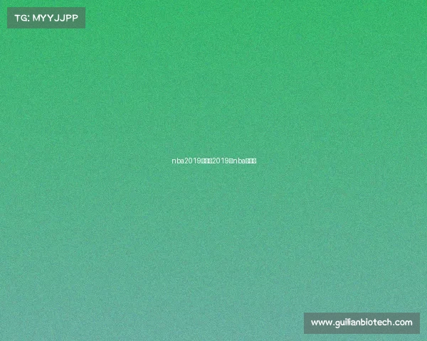 nba2019年赛事2019年nba的比赛