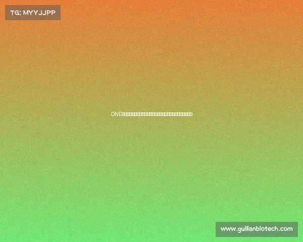 ONE赛事新加坡新赛季盛大开启世界顶尖格斗高手狮城争霸热血对决