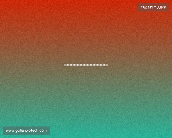 上海足球今日赛事前瞻申花激战国安海港对阵恒大精彩对决不容错过 上海足球今日赛事前瞻申花激战国安海港对阵恒大精彩对决不容错过