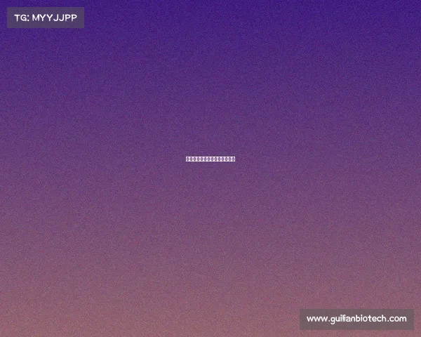 中国功夫娱乐赛事中国功夫演出