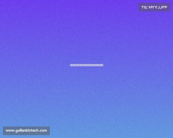 人民网年度大型体育赛事激情开幕共享运动荣耀时刻