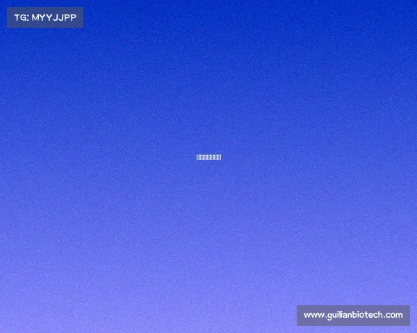 体育传媒是什么