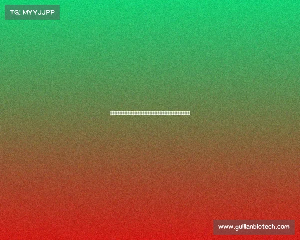 全面回顾罗马足球俱乐部近期赛事表现包括精彩进球战术调整及未来展望 全面回顾罗马足球俱乐部近期赛事表现包括精彩进球战术调整及未来展望