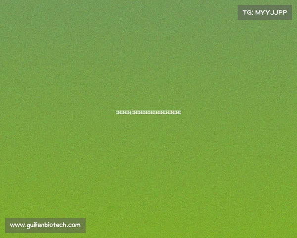 承接赛事广告;专业赛事广告承接服务，高效推广品牌影响力