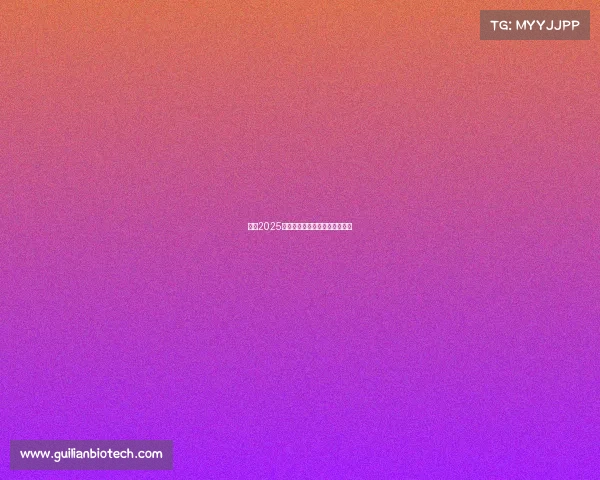 金泽2025年大型活动精彩预告与日程安排