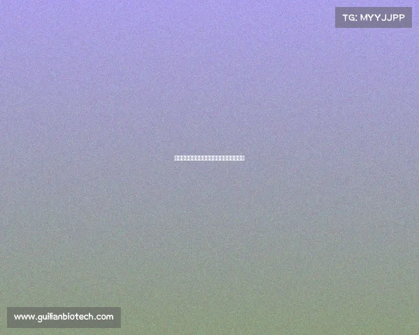 火箭队近期赛事强势连胜表现分析与未来展望