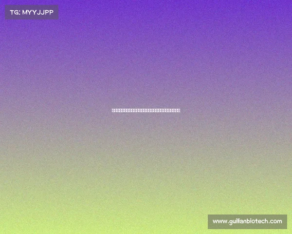 每步赛事总监统筹全局协调资源推动赛事高效运转实现完美落幕