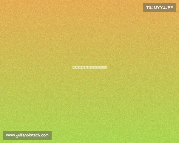 羽毛球赛事智能安排策略打造高效公平精彩赛程体系