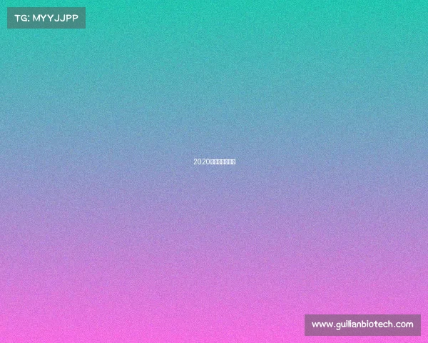 2020年功夫盛典决赛