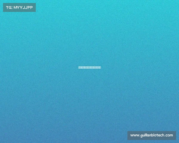 中体体育旗下的赛事中体体育公司