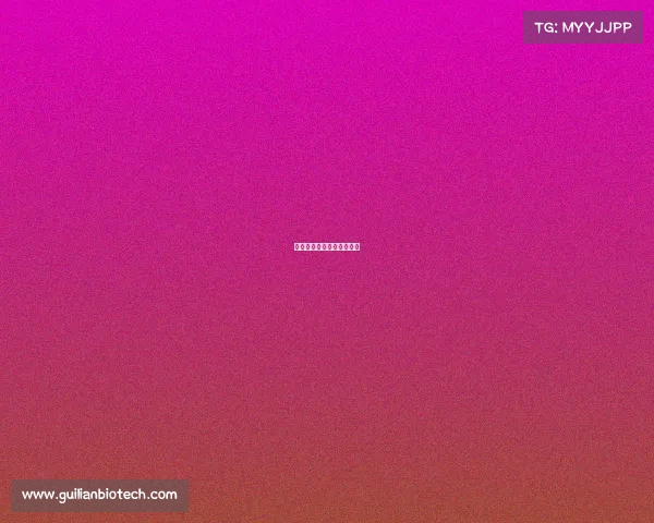 体育赛事预算包括那些方面