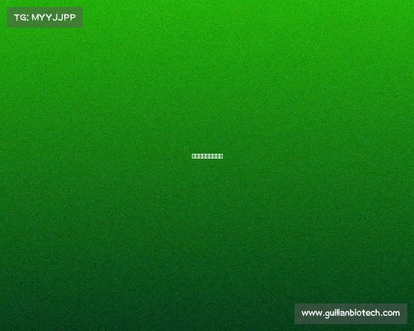 大满贯为什么进不去