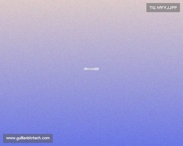 深圳mma训练馆 深圳mma训练馆